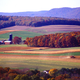 Image for article titled We’re Growing Twice as Much Food (with Far Fewer Farms) Than We Used To